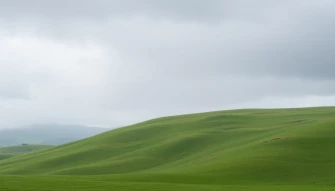 Green And Grey Wallpaper