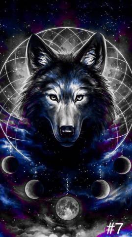 Airtes Terezinha Rodrigues Per On Jo U Wolf Wallpaper