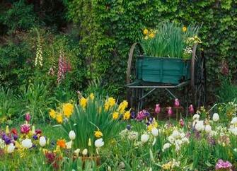 Country Garden Wallpaper