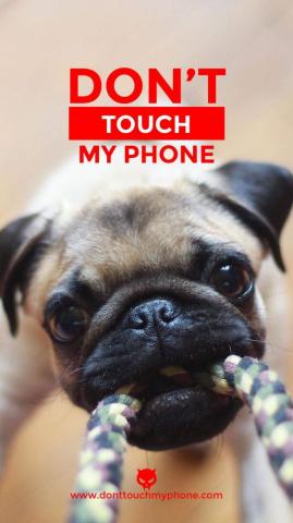 Cute Dog Lock Screen Dont Touch My Phone Wallpaper Mobile