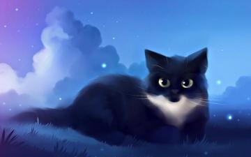 Nice Kitty Cute Cats Drawings Anime Wallpaper
