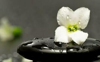 Zen Meditation Pictures 1080p Full HD Widescreen Wallpaper Pixhome