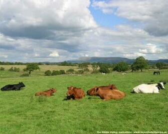 Summer Wallpaper Windows Desktop From Beautiful Britain