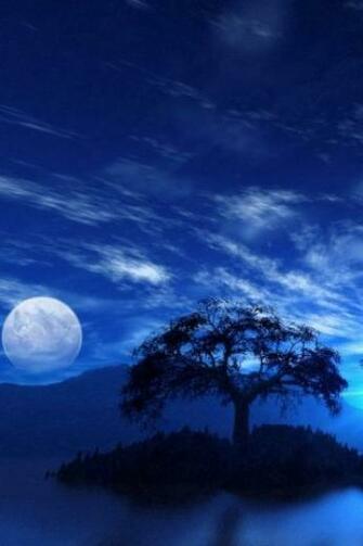 Night Sky Nature Background For Your iPhone