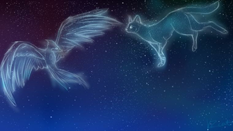 Warrior Cats Star Wallpaper By Kzcat