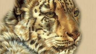 Big Cat High Quality And Resolution Wallpaper On