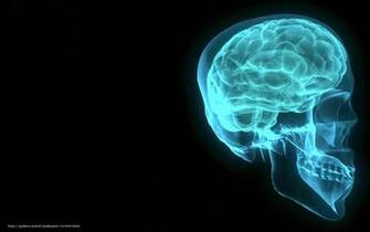 Wallpaper Brain X Ray Desktop In The