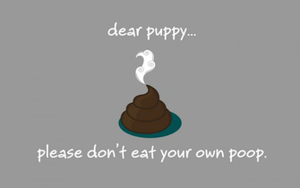Desktop Day Don T Eat Poop Matt Mcclendon