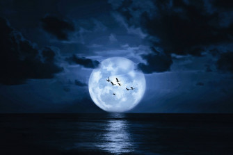 Dark Night Wallpaper
