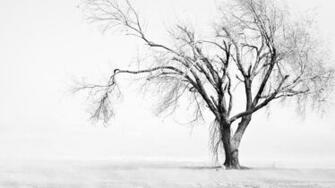 White 1080p Wallpaper High Definition Quality