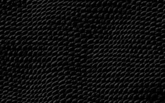 Black Snake Skin Wallpaper HD
