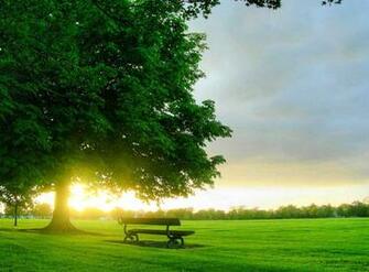 Live Wallpaper Samsung Galaxy S4 HD