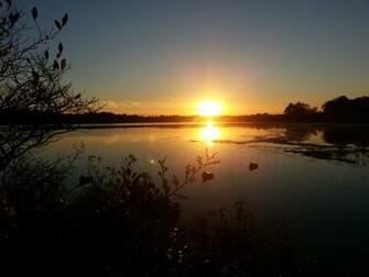 Ducks Unlimited Wallpaper Mallard Duck Commander