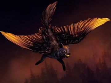 Desktop Wallpaper Wolf Wings Fantasy Flight Magical