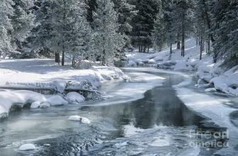 Winter On The Firehole River Yellowstone National Park By Sandra