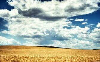Find Your Stillness Desktop Pc And Mac Wallpaper