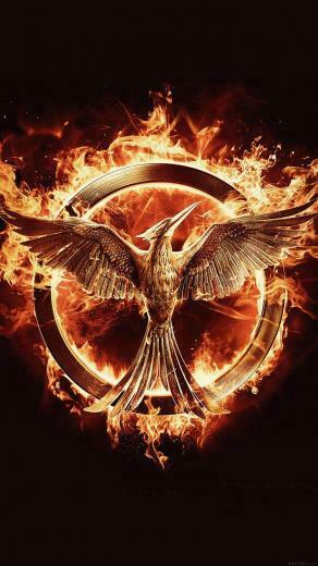 Hunger Games Mockingjay Logo Art Wallpaper HD iPhone Funny In