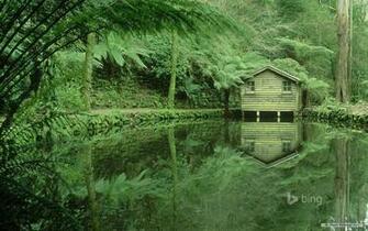 Wallpaper Nature Microsoft Bing