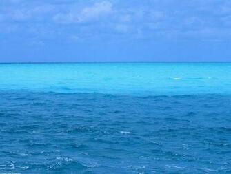 Under The Ocean Wallpaper Category Of HD Live