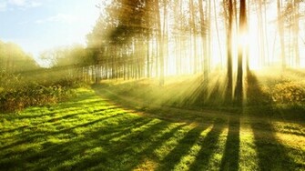 Sunlight HD Wallpaper High Definition Quality