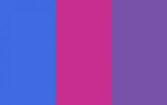 Royal Blue Web Fuchsia And Purple Three Color Background