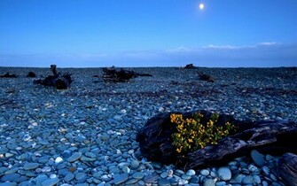 Beach At Night Wallpaper