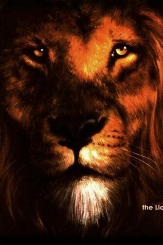 Lion Of Judah Wallpaper