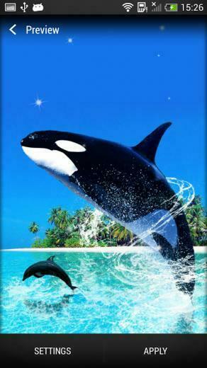 Dolphin Live Wallpaper Android Apps On Google Play