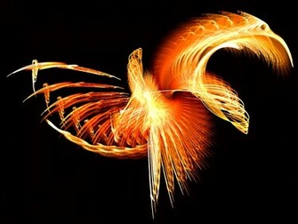 Wallpaper Graphic And Vector Phoenix