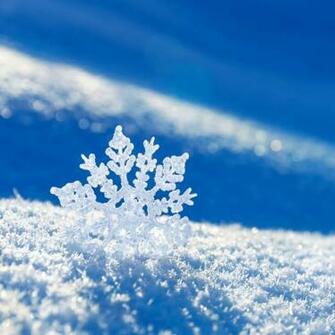 iPad Air Wallpaper Snow Details