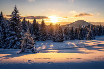 Nature Winter HD Wallpaper By Seungmin Kim