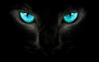 Windows Black Panther Car Tuning