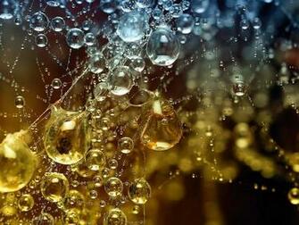Swarovski Crystal Wallpaper Photography Click As Your Mod