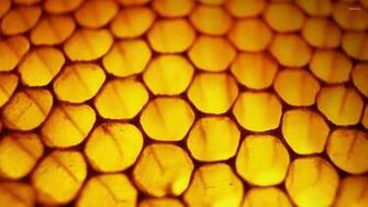 Honeycomb Wallpaper Photography