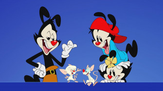4k Yakko Warner Wallpaper Background Image