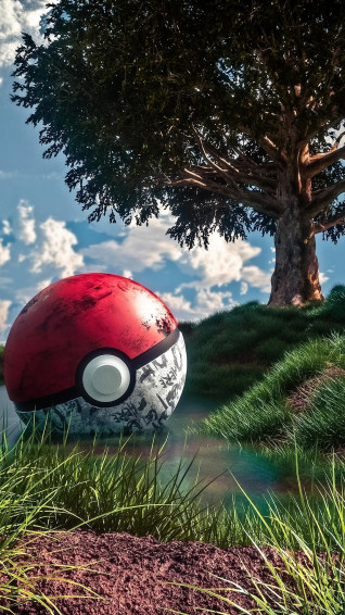 Pok Ball Wallpaper