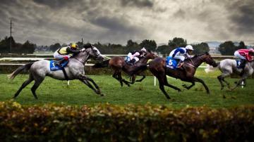 Horse Racing Wallpaper Top Background