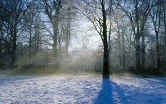 Winter Season England World Morning Norfolk Wallpaper Art HD