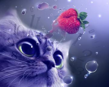 Cat Clock Strawberry Water Wallpaper 8wallpaper