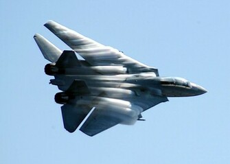 Tomcat HD Wallpaper Pictures