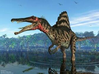 Pics Photos Spinosaurus Wallpaper Picture