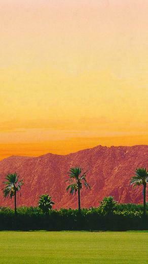 Coachella Wallpaper For Android