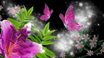 Lily Rose Pr Cieuse Wallpaper