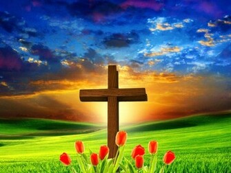 Holy Cross On Field Wallpaper