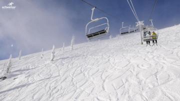 Schweitzer Zoom Background