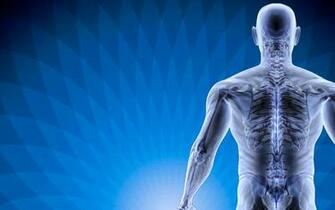 The Real Reason Behind Pain How Spine Is Connected To