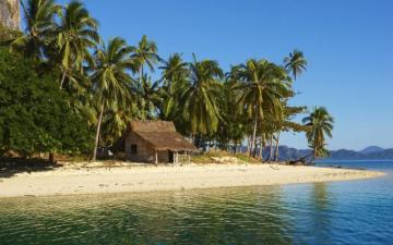 Beach Tropical