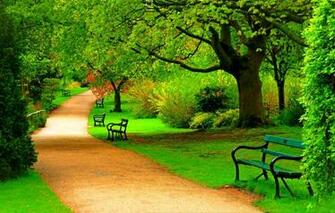 Wallpaper Road Forest Trees Nature Park Spring
