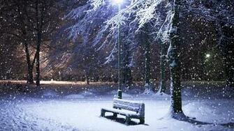 Winter Night Wallpaper