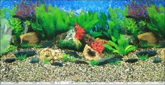 Acquista All Ingrosso Online Acquario Sfondi Da Grossisti